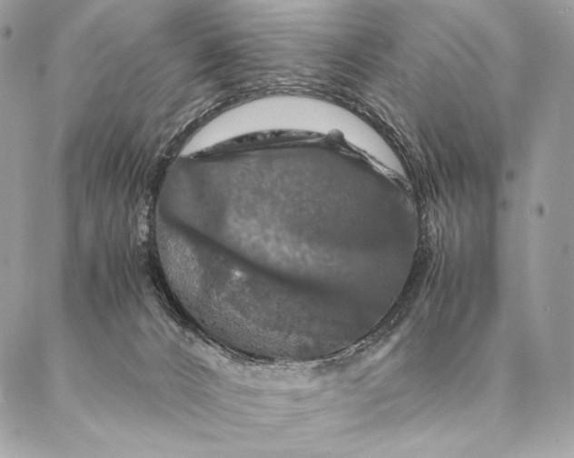 X0000087020032200704301325