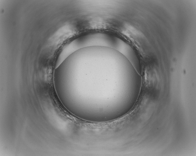 X0000087020033200704301325