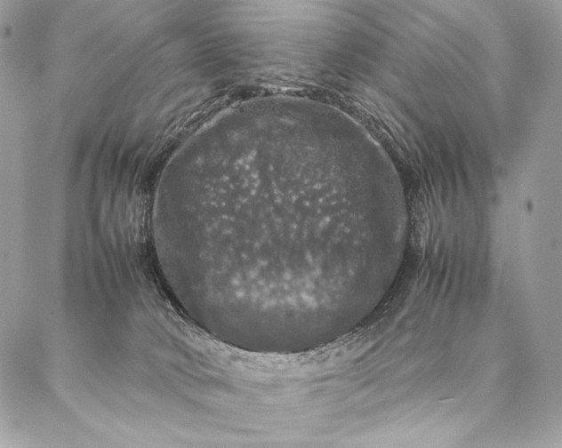 X0000087020034200704301325