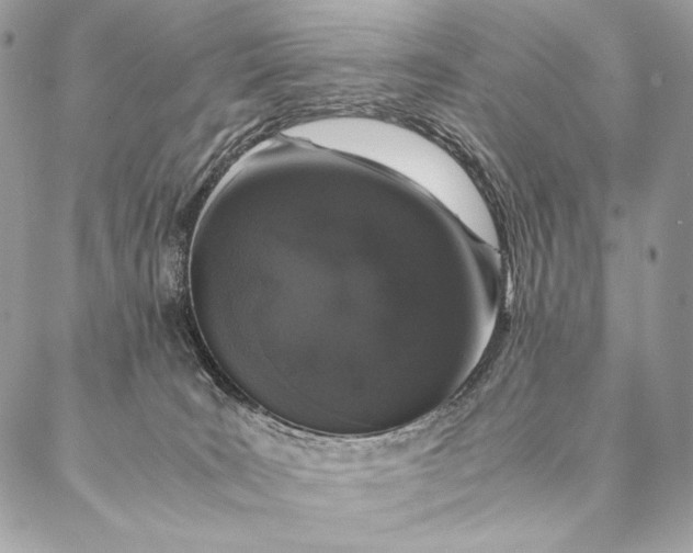 X0000087020035200704301325