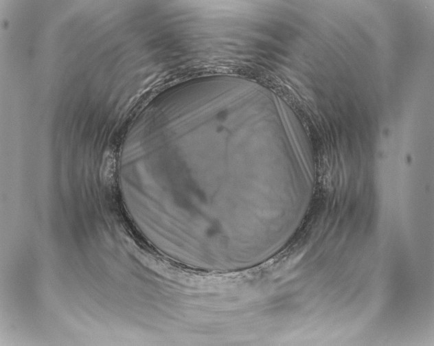 X0000087020036200704301325