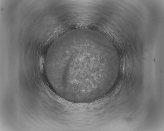 X0000087020038200704301325