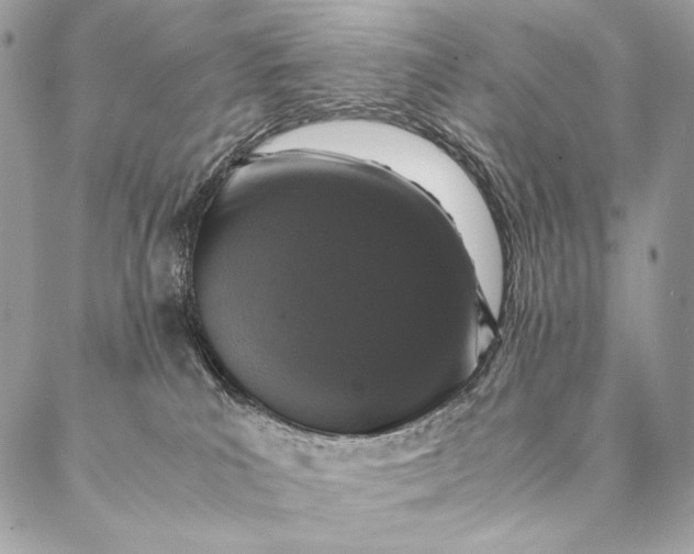 X0000087020039200704301325