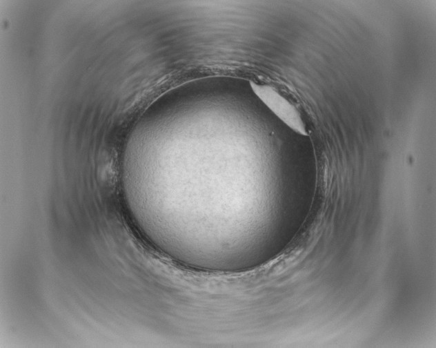 X0000087020040200704301325