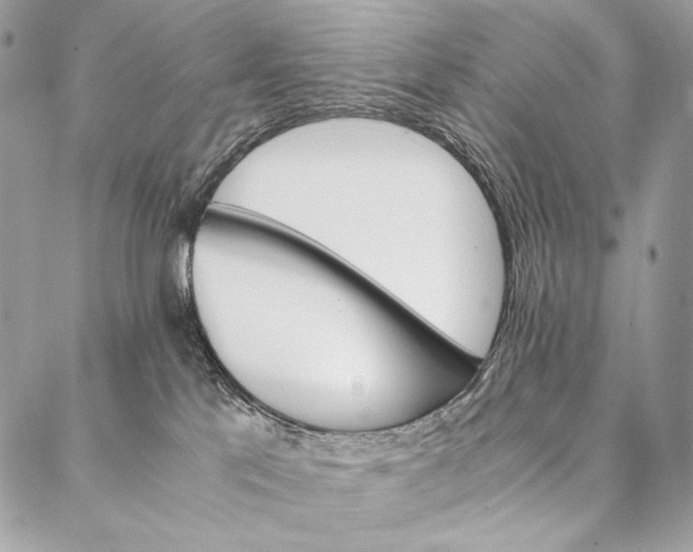 X0000087020041200704301325