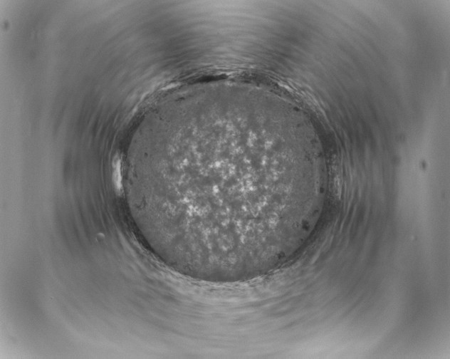 X0000087020042200704301325