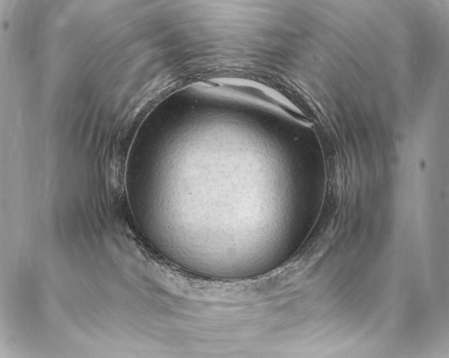 X0000087020044200704301325