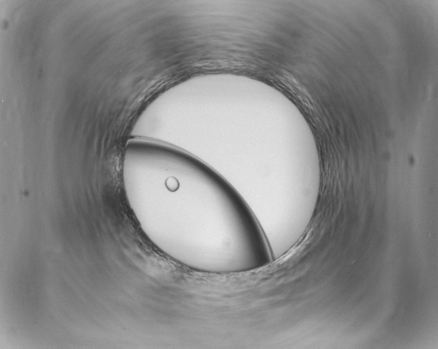 X0000087020045200704301325