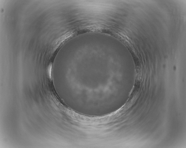 X0000087020047200704301325