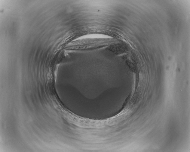 X0000087020048200704301325