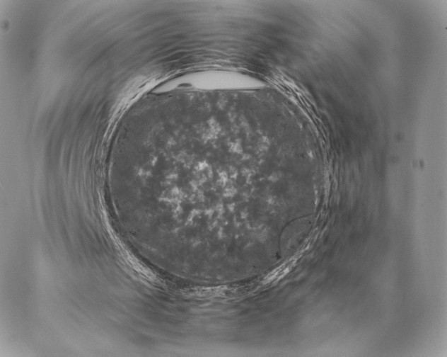 X0000087020049200704301324