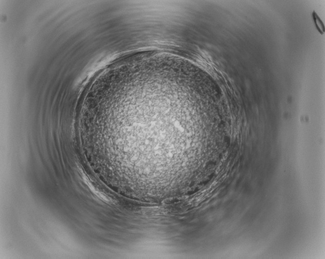 X0000087020050200704301324