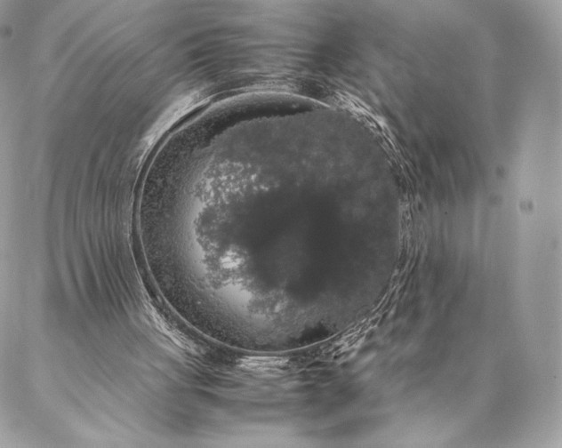 X0000087020051200704301324