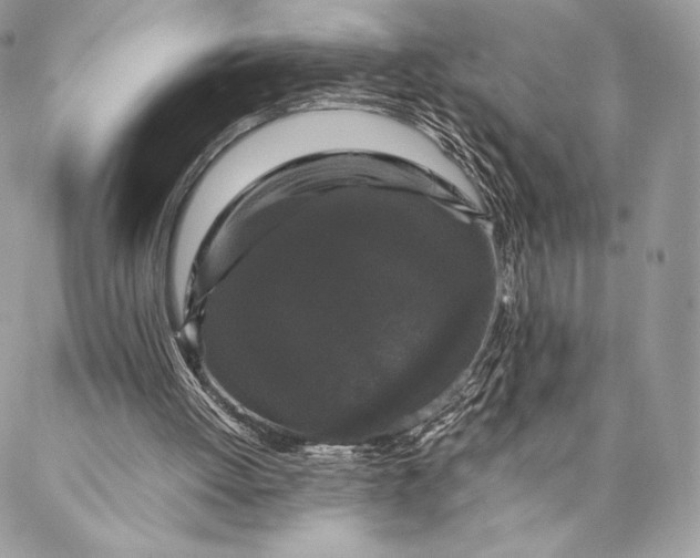 X0000087020052200704301324