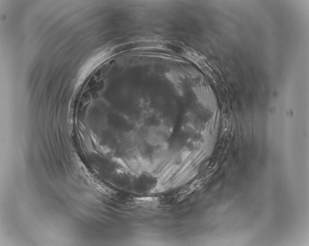 X0000087020053200704301324