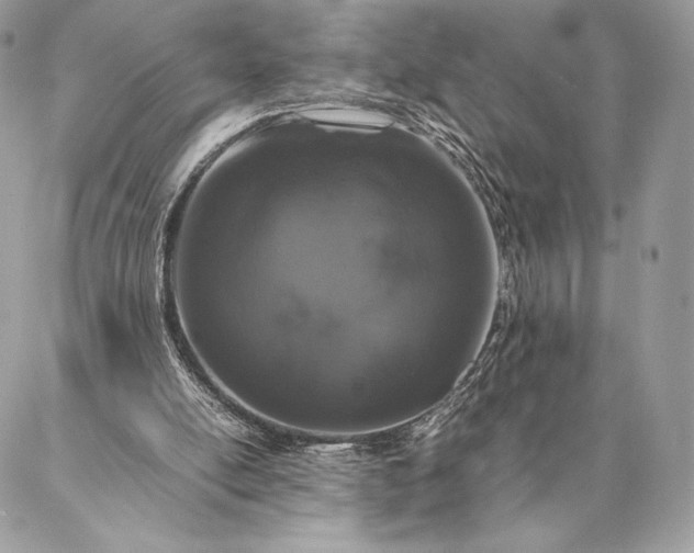 X0000087020054200704301324