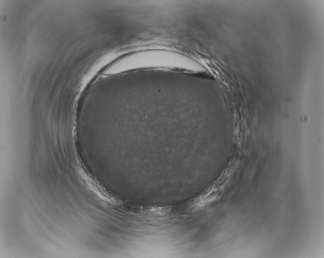 X0000087020056200704301324