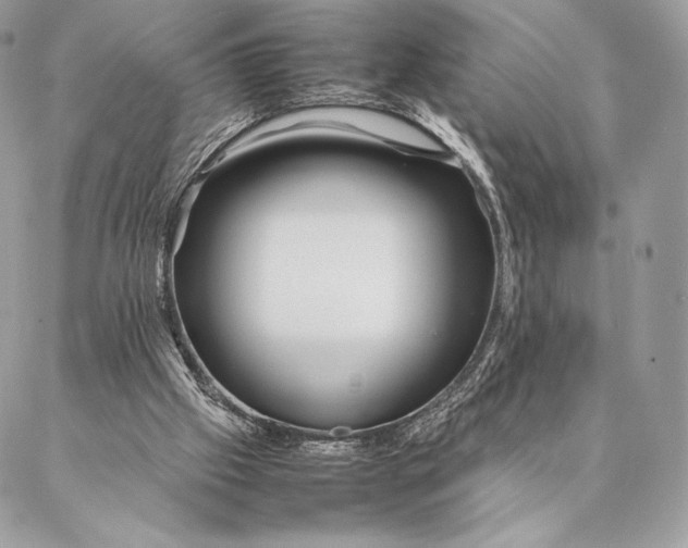 X0000087020057200704301324