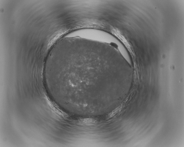 X0000087020058200704301324