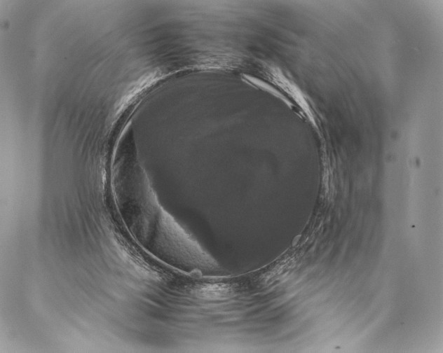 X0000087020059200704301324