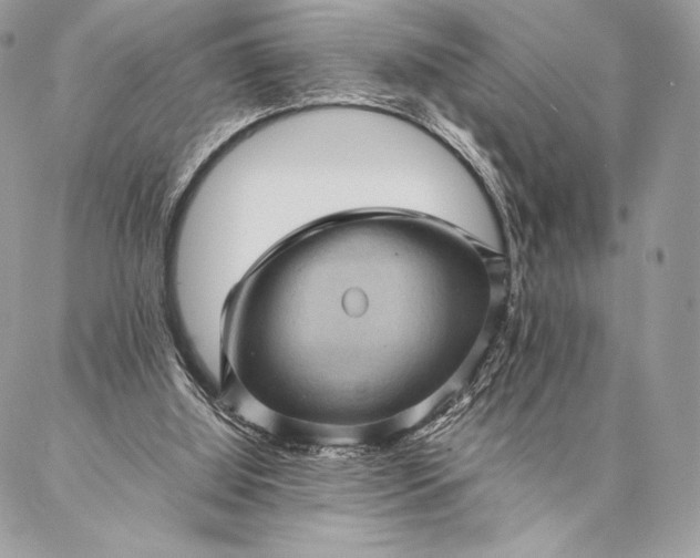 X0000087020060200704301324