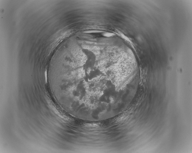 X0000087020061200704301324