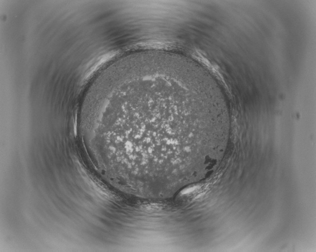 X0000087020062200704301324