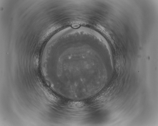 X0000087020063200704301324