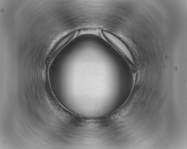 X0000087020064200704301324