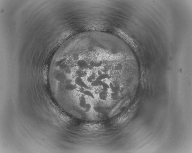 X0000087020065200704301324