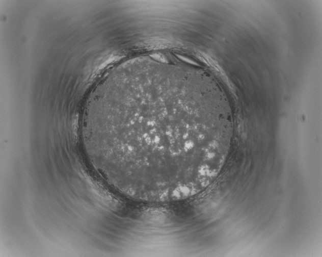 X0000087020066200704301324