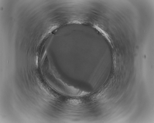 X0000087020067200704301325