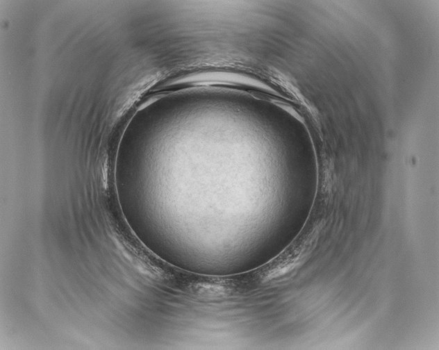 X0000087020068200704301325