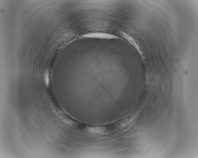 X0000087020069200704301325