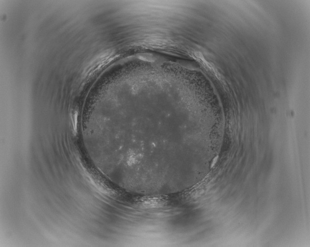 X0000087020070200704301325