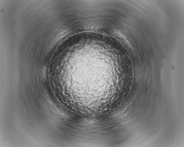 X0000087020071200704301325