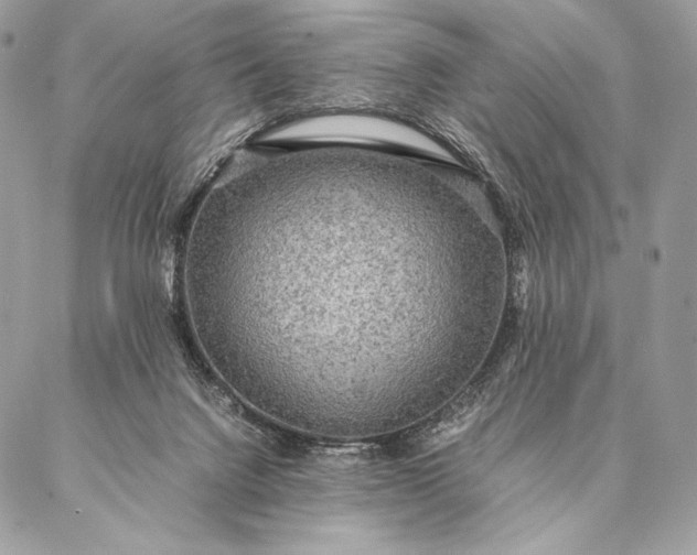 X0000087020072200704301325