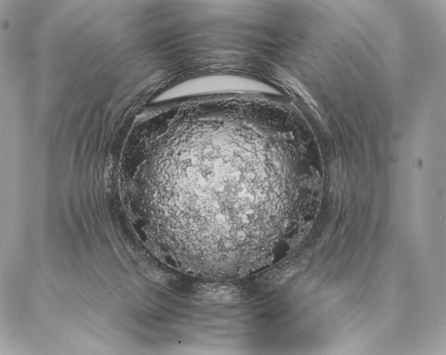 X0000087020073200704301325