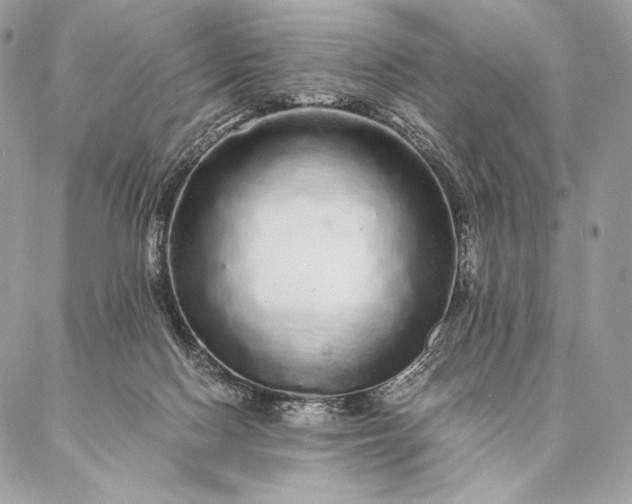 X0000087020074200704301325