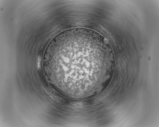 X0000087020075200704301325