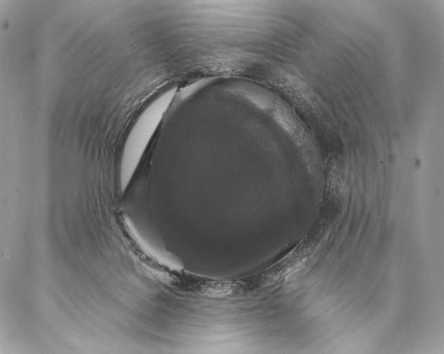 X0000087020076200704301325