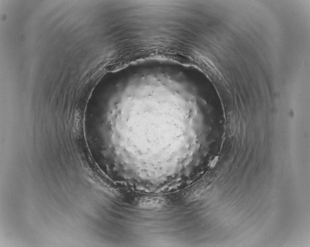 X0000087020077200704301325