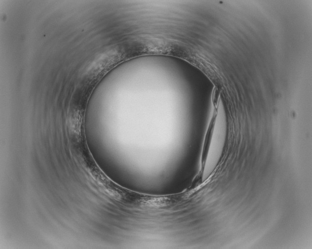 X0000087020078200704301325