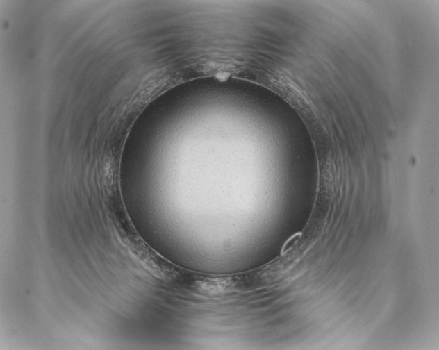 X0000087020079200704301325