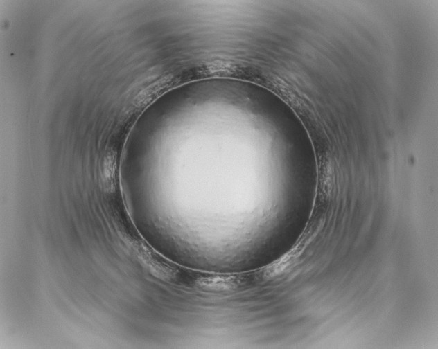 X0000087020082200704301325