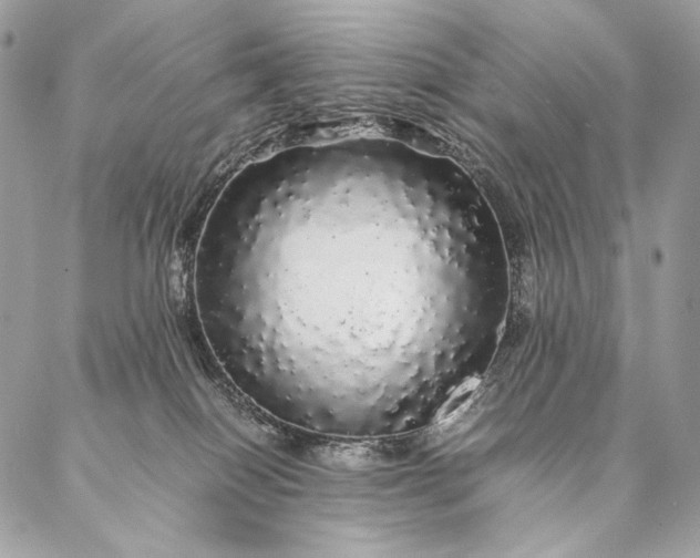 X0000087020086200704301325