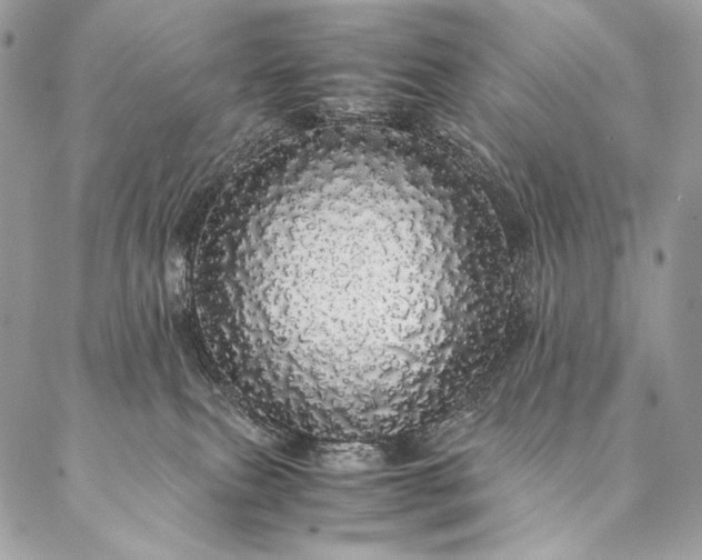 X0000087020087200704301325