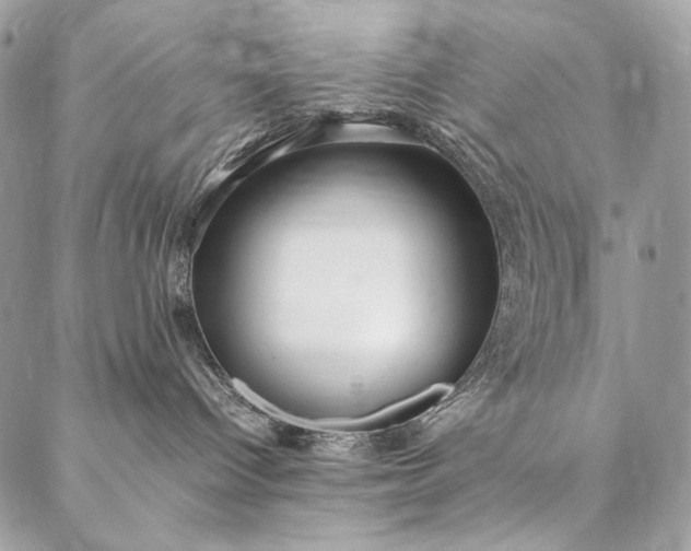 X0000087020096200704301325