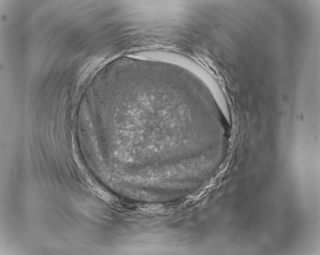 X0000087020097200704301324