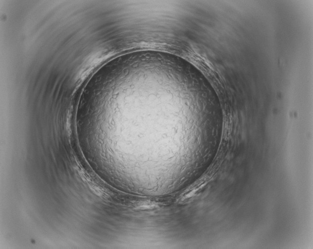 X0000087020098200704301324